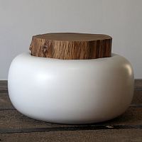 Original design coffee table CHAMPIGNONoakresinround