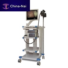 Gastroenterological endoscopy column EGT-100white light imaging