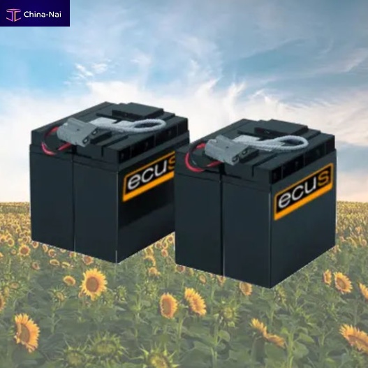 											UPS battery