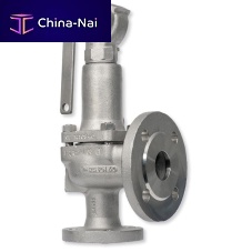 Steam safety valve GSV seriesplug