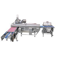 Tray loading system 600R+Tfor the food industry