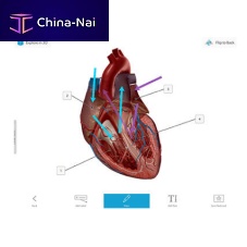 Medical software Coursewareanatomymanagement3D viewing