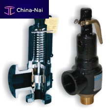 Safety valve VSGR series