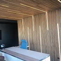 Solid wood acoustic panel WL V15 38for wallfor ceilinglarch
