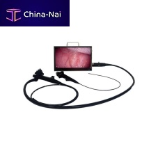 Endoscopy display BVI16 Vet
