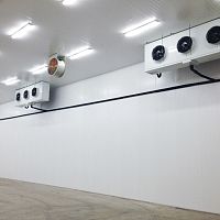 Freezing cold room for the food industry