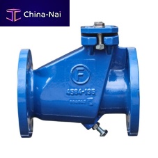 Swing check valve DIN