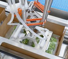 Loading system for the food industry robotic
