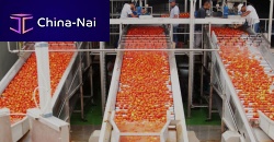 Sorter for the food industry opticalautomaticfor tomatoes