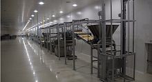Automatic feeding system