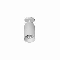Surface mounted spotlight TRIXYELEDroundIP40