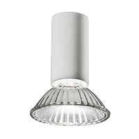 Surface mounted downlight NAKED Ahalogencompact fluorescentround