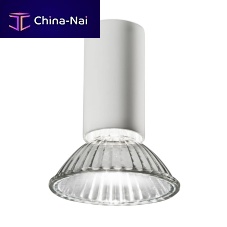 Surface mounted downlight NAKED Ahalogencompact fluorescentround