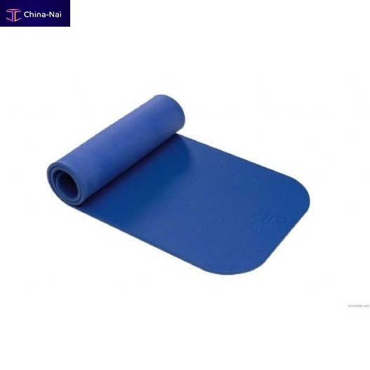 											Exercise mat AIREX®