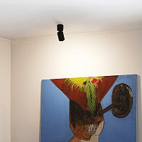 Ceiling-mounted spotlight TOBY PL1LEDroundIP20