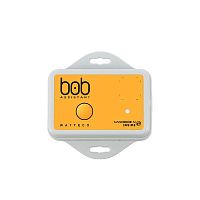 LoRaWAN vibration sensor BoB Assistant - 50-80-001radio frequencyindustrialcompact