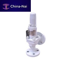 Gas safety valve plugflange