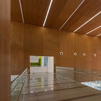 Acoustic wall-covering interiorwood veneersmooth