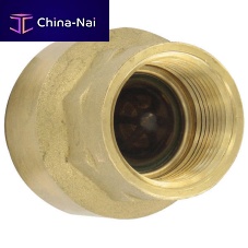 Swing check valve BICV-0 seriesdiscNPTfemale
