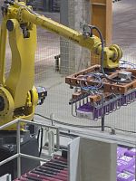 Articulated depalletizer robotic