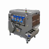 Citrus fruit weighing machine WD4S-125dynamicelectronicwith vibratory feeder