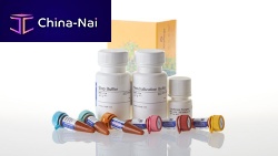 Medical research assay kit Uptake-Glofor cancersfor diabetesglucose uptake