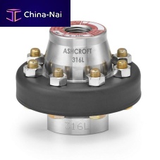 Diaphragm seal with threaded connection 100 for pressure gaugesfor the petrochemical industryfor water treatment