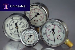 Differential pressure gauge 100 seriesdirect-readingback mountbuilt-in