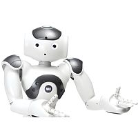 Mobile reception robot NAO