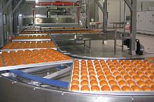 Croissant production line automaticfor the food industry