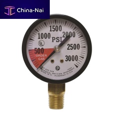 Absolute pressure gauge GS24 seriesdialthreadedbellows
