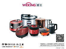 �����������, ������� WEKING CO.,LTD