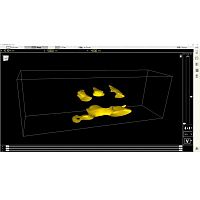 Visualization software MIRA NEOmeasurementpost-processinganalysis