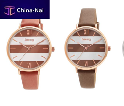 ���� Shenzhen Kaster Timepieces Co. Ltd.