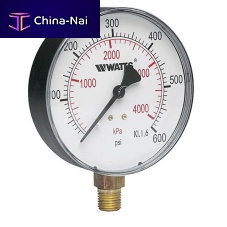 Dial pressure gauge LFDPG-1threadedBourdon tubeprocess