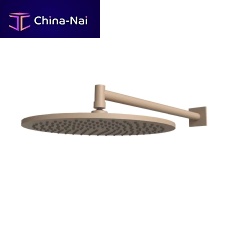 Wall-mounted shower head 095100roundwith fixed shower headfor wellness center