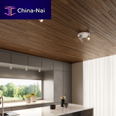 Ceiling-mounted spotlight RABIA TRIPLELEDroundIP20