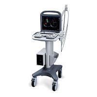 Portable, with trolley ultrasound system P11 Expertfor cardiovascular ultrasound imaging3D/4Dcolor doppler