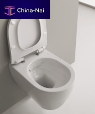 Wall-hung toilet 5520CLceramichomecommercial