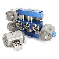 CNG manifold distributionhigh-pressurecustom