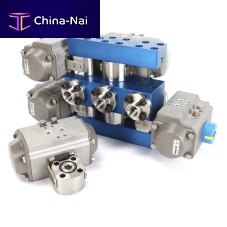 CNG manifold distributionhigh-pressurecustom