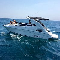 Inboard cabin cruiser RC 28twin-engineopendual-console