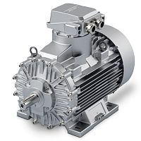 Explosion-proof motor XPACasynchronousATEX