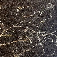 Interior decorative panel HONFnatural fiberHPLtextured