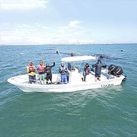Outboard center console boat Panga boat 760sport-fishingfiberglass10-person max.