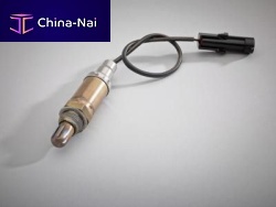 Oxygen sensor O2