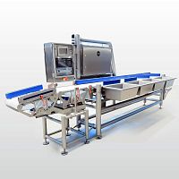 Sorter for the food industry automaticfor foodmeat