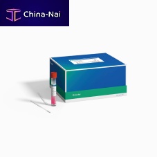 Microbiology swab viruscoronavirusChlamydia