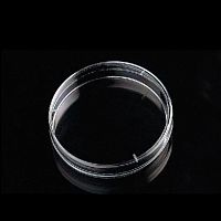 Petri dish 2002 series