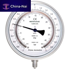 Absolute pressure gauge PG-aremecadialback mountvertical-mount